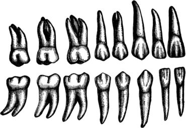 10 zanimljivosti o zubima